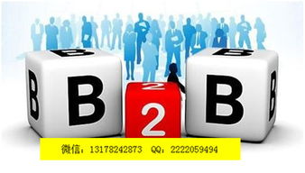 自動(dòng)發(fā)布軟件棗莊新聞網(wǎng) 定西億凌云推廣