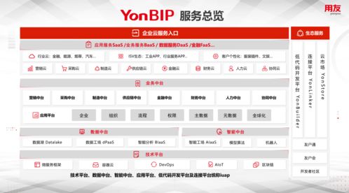 用友YonBIP 讓企業(yè)乘風(fēng)破浪，創(chuàng)新更便捷的商務(wù)服務(wù)